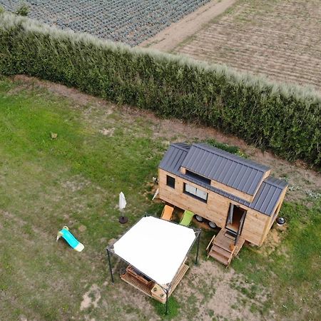 Tiny House Sur La Presqu'Ile Sauvage Hotel Lanmodez Exterior photo